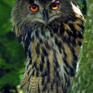 Meet your Posher, Sandy